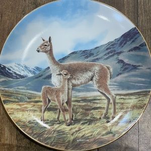 The Vicuna Collectors Plate